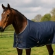 Welke paardendeken past bij jouw buddy?